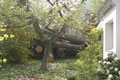 Click to see it big Impression aus dem Atelier